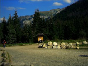 Dominika Bzówka - droga nad Morskie Oko 2