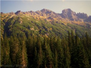 Domika Bzówka - Widok z drogi nad Morskie Oko