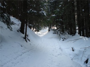 Droga na Boczań Droga na Boczań