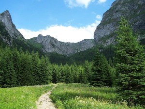 Podejście na Przełęcz Kondracką