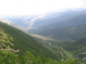 widok na Dolinę Kondratową widok na Dolinę Kondratową