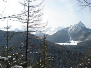 widok ze szczytu Boczań widok ze szczytu Boczań