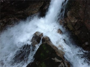 Wodogrzmoty Mickiewicza