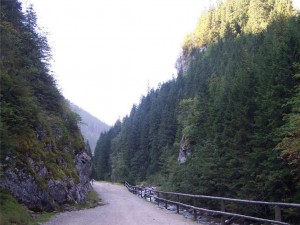 Wyźnia Brama Chochołowska